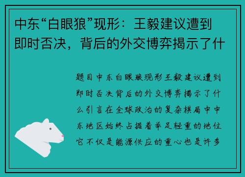 中东“白眼狼”现形：王毅建议遭到即时否决，背后的外交博弈揭示了什么？